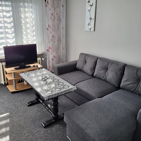 Apartament Sosnowy Z Parkingiem Stary Toruń Εξωτερικό φωτογραφία