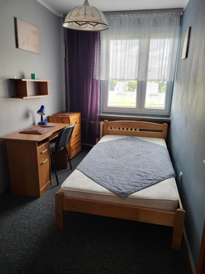 Apartament Sosnowy Z Parkingiem Stary Toruń Εξωτερικό φωτογραφία